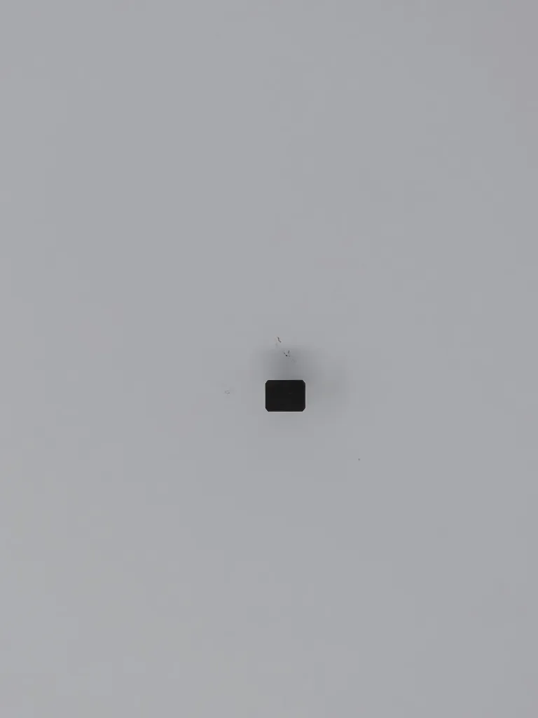 7976.webp